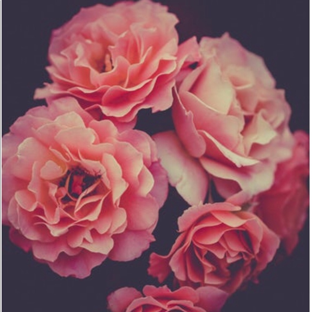 Meet your Posher, Shae